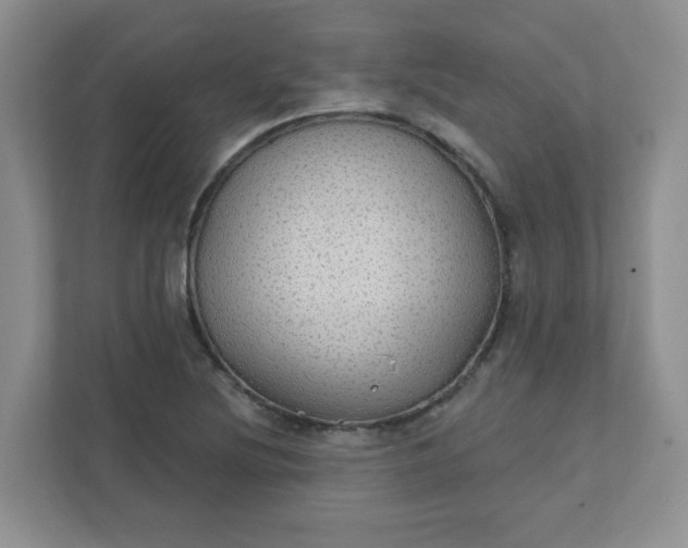 X0000111421220200907271136