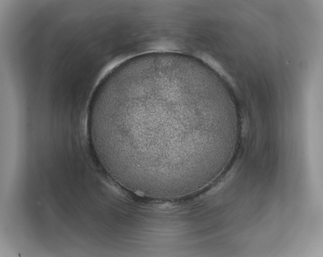 X0000111421222200907271136