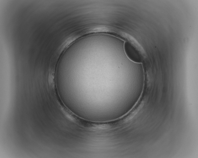 X0000111421225200907271136