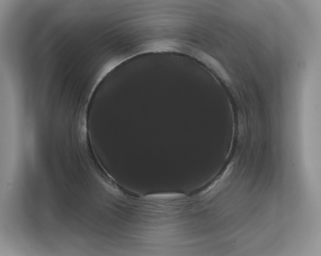 X0000111421226200907271136