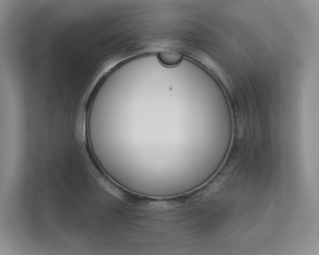 X0000111421227200907271136