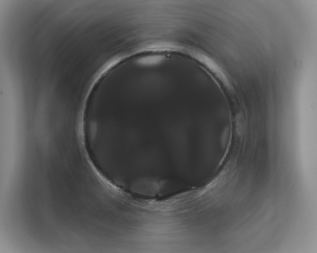 X0000111421229200907271136