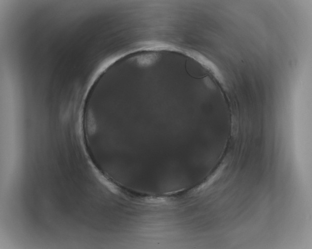 X0000111421231200907271136