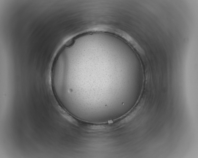 X0000111421232200907271136