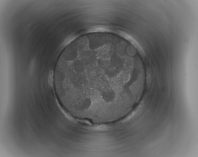 X0000111421233200907271136