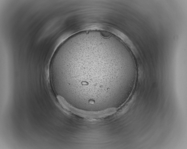 X0000111421234200907271136