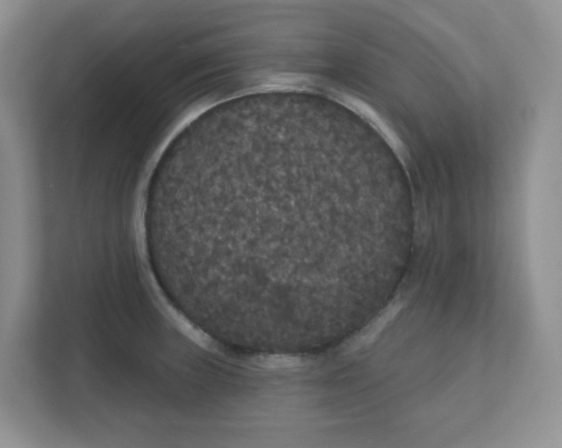 X0000111421235200907271136