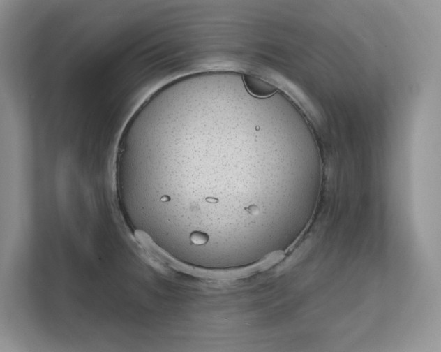 X0000111421236200907271136