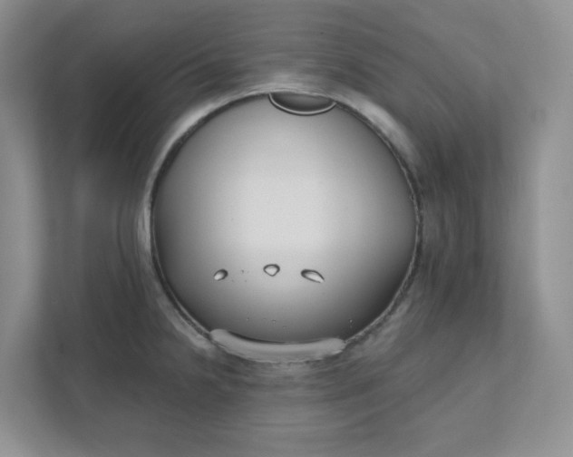 X0000111421238200907271136