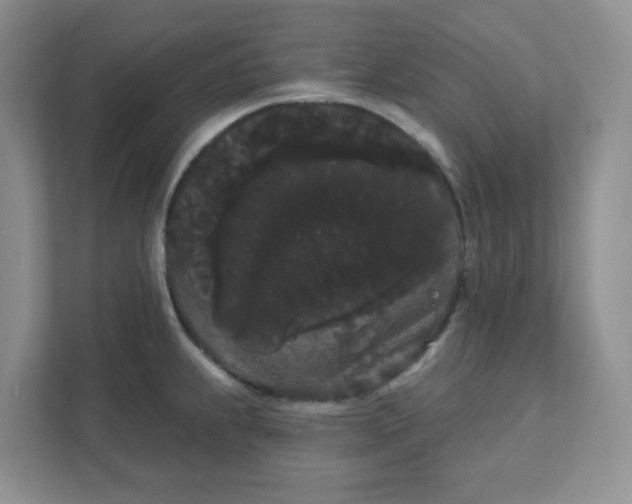 X0000111421239200907271136