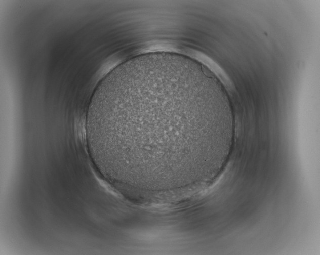 X0000111421241200907271136