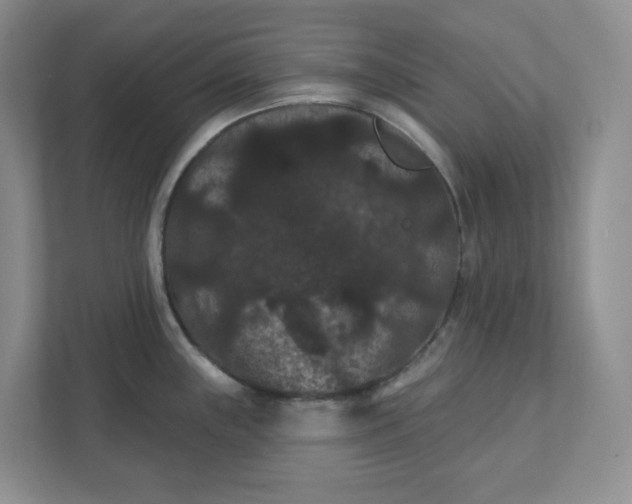 X0000111421243200907271136