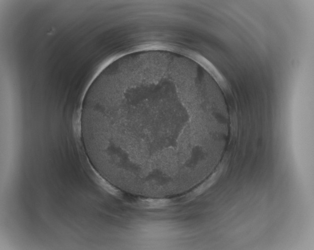 X0000111421244200907271136