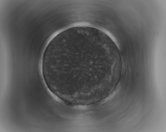 X0000111421245200907271136