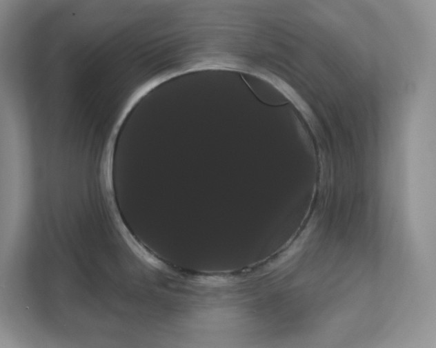 X0000111421246200907271136