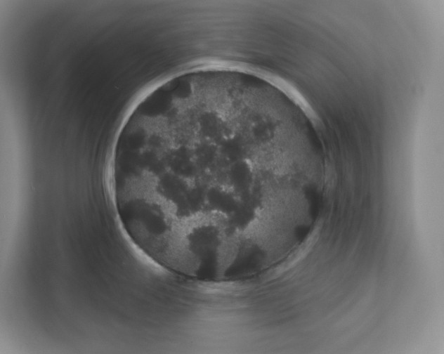 X0000111421247200907271136