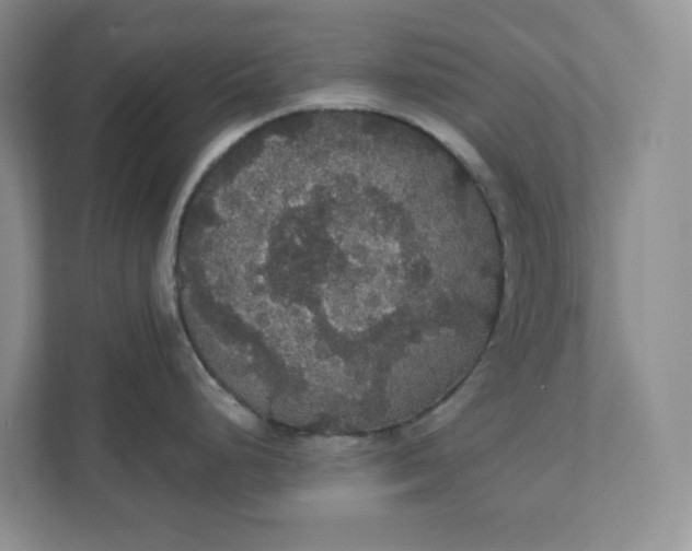 X0000111421248200907271136