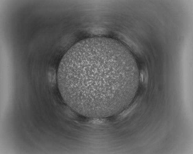 X0000111421251200907271136