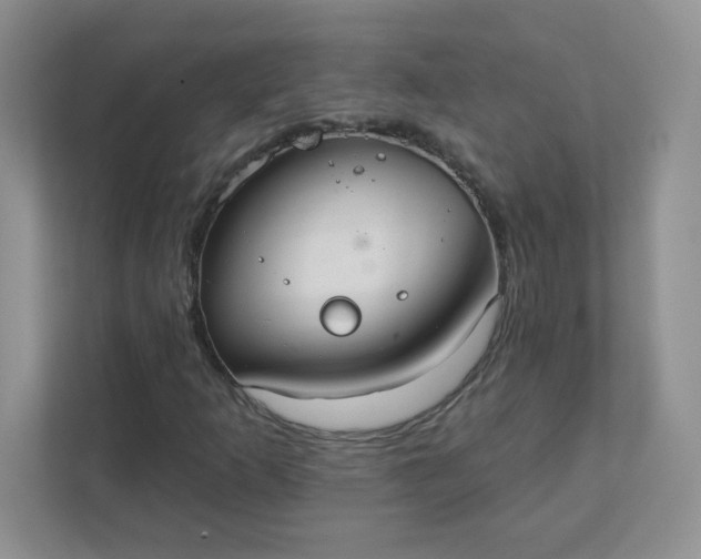 X0000111421253200907271136