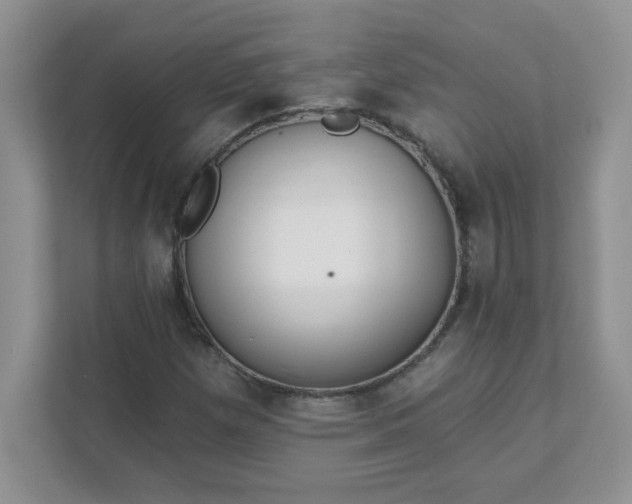 X0000111421257200907271136