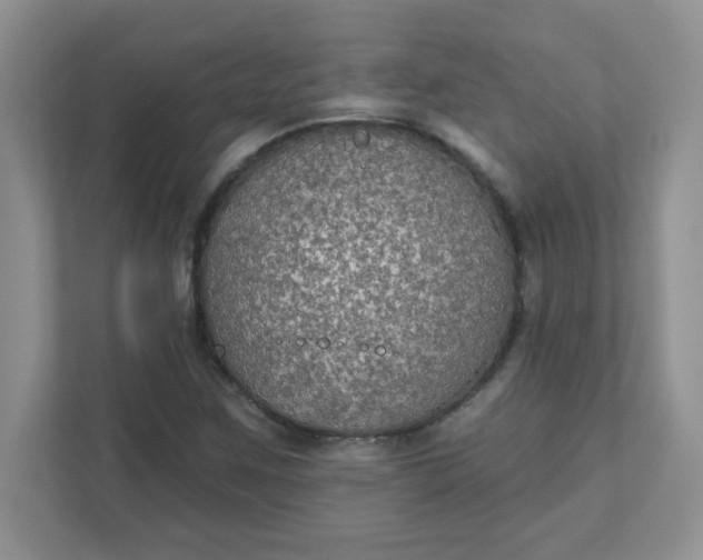 X0000111421259200907271136