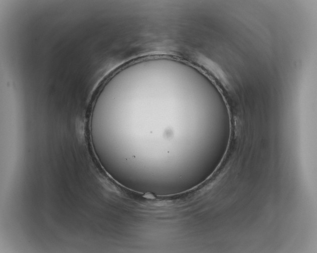 X0000111421260200907271136