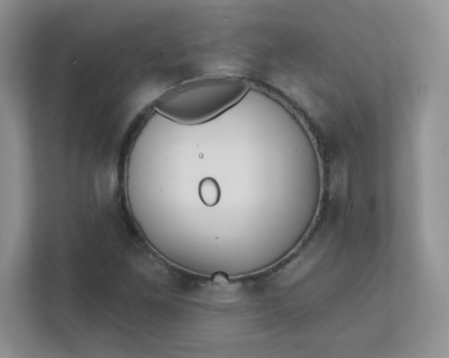 X0000111421261200907271136