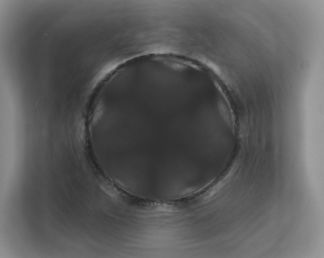 X0000111421263200907271136