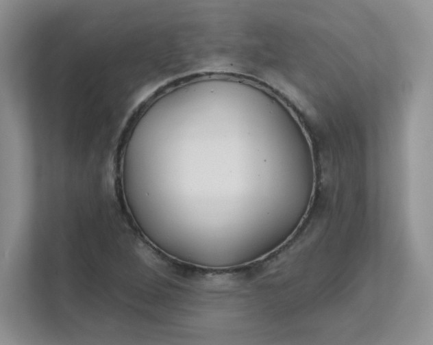 X0000111421264200907271136