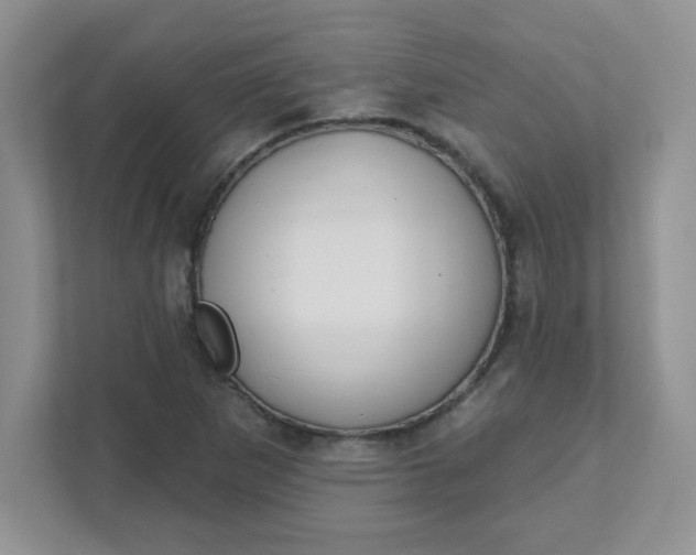 X0000111421265200907271136