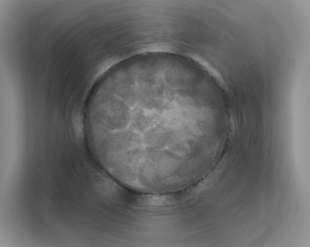 X0000111421266200907271136