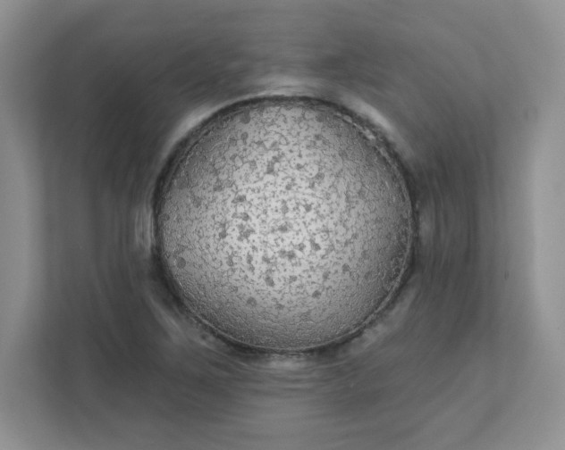 X0000111421267200907271136