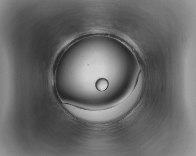 X0000111421269200907271136