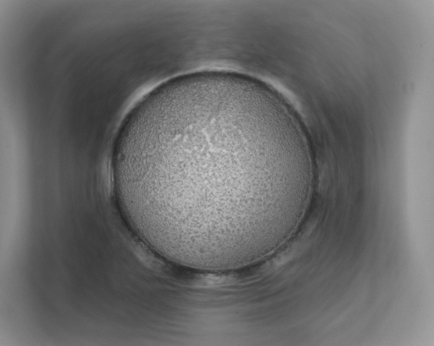 X0000111421271200907271136