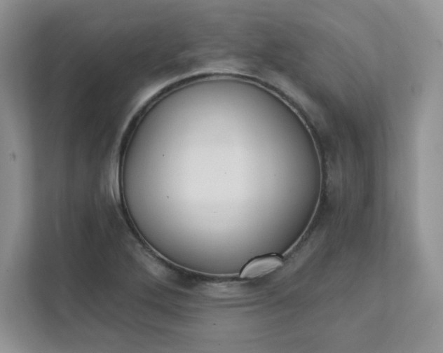 X0000111421272200907271136