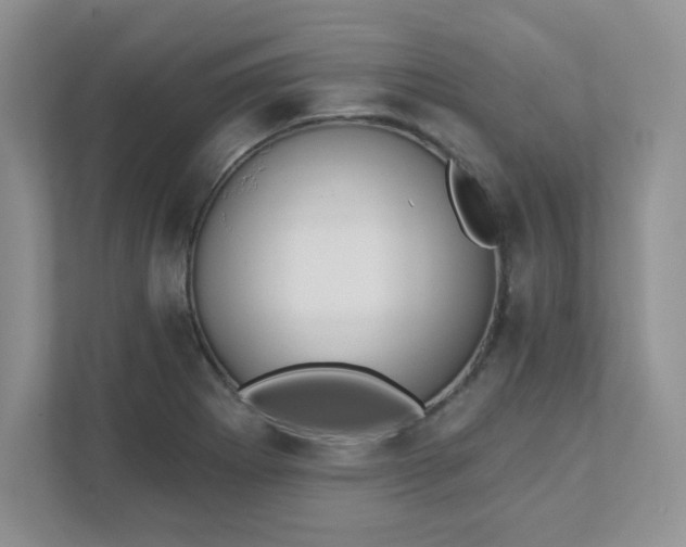 X0000111421273200907271135