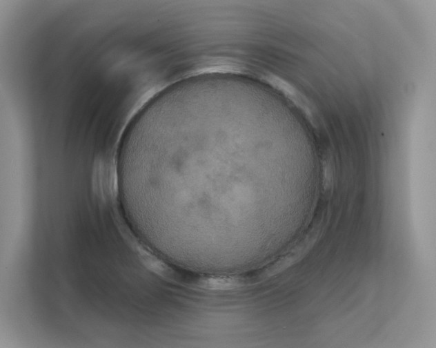 X0000111421274200907271135