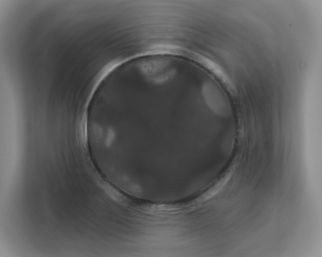 X0000111421275200907271135