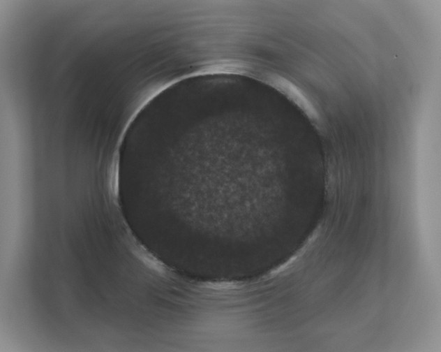 X0000111421276200907271135