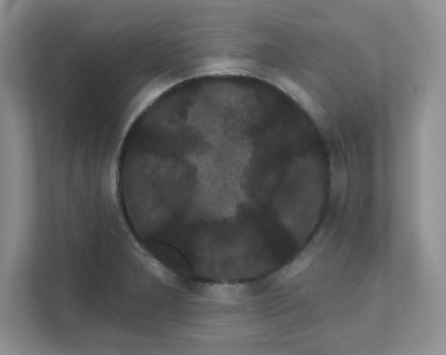 X0000111421277200907271135