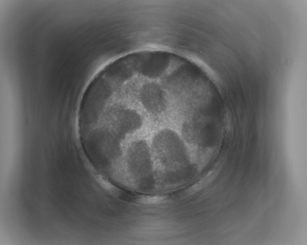 X0000111421278200907271135