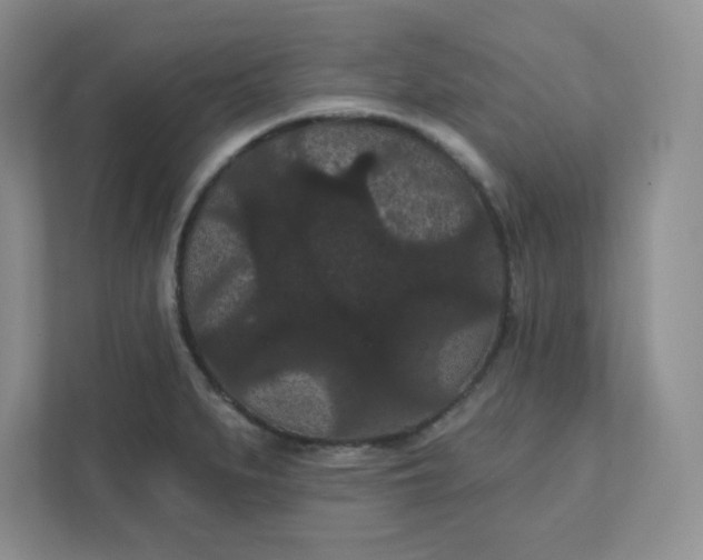 X0000111421279200907271135