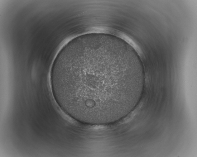 X0000111421283200907271135