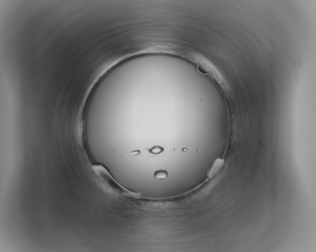 X0000111421284200907271135