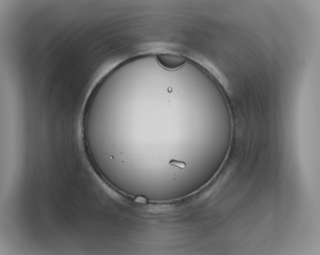 X0000111421285200907271135