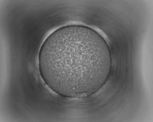 X0000111421287200907271135