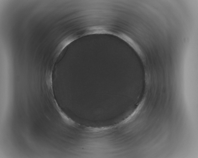 X0000111421289200907271135