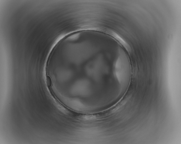 X0000111421291200907271135