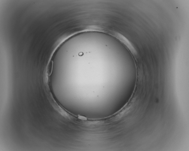 X0000111421292200907271135