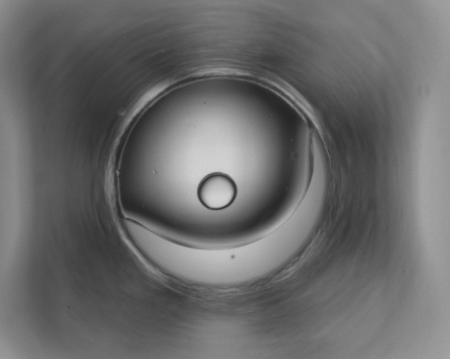 X0000111421293200907271135